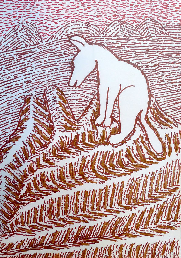 Jimmy Pike , Untitled