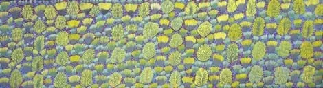 Rosie Ross, Sugarbag Dreaming, 2011