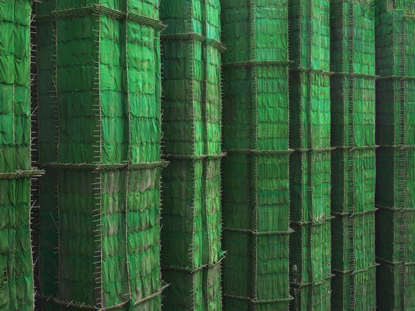 Peter Steinhauer, Green Cocoon Walls, Hong Kong, 2010