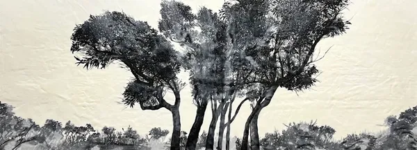 Arboretum III Red Flowering Gum