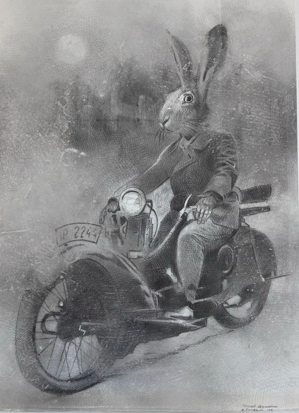 Twilight Destination