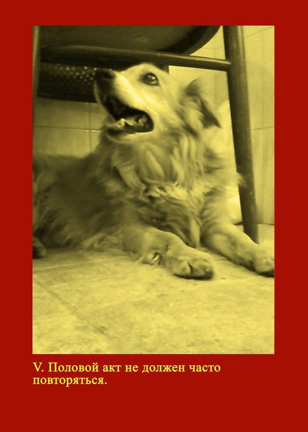 Тигран Хачатрян Commandment #5 from the series "Twelve Sexual Commandments of Revolutionary Proletariat", 2009 colour print on paper 70 x 50 cm 27.58 x 19.7 in edition of 5 plus 1 artist's proofs