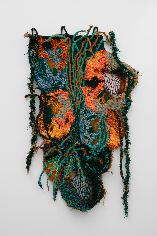 Fiker Solomon - Web of Life 10, 2023