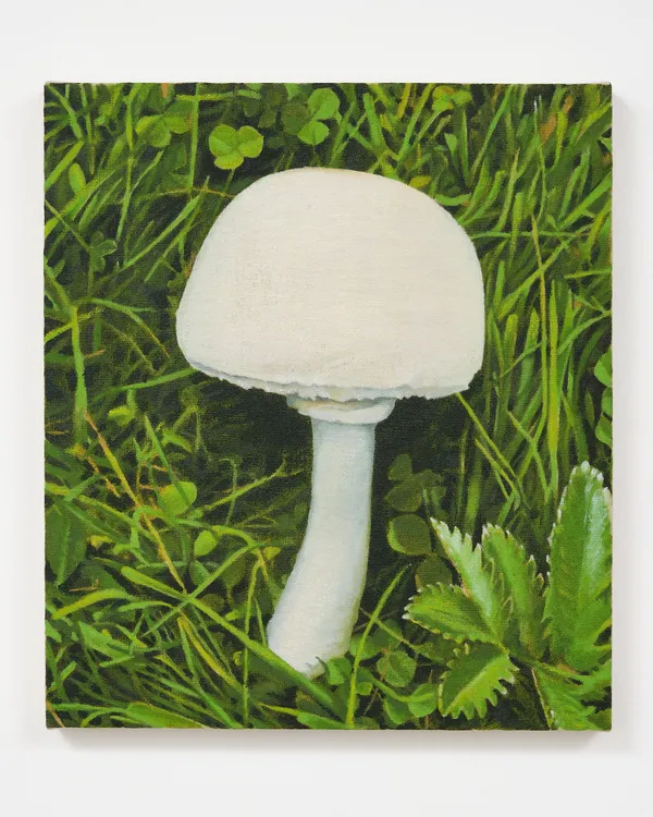 Edward Givis, Mushroom, 2025