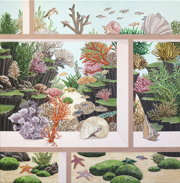 Jihye Park, Where the Stars Sleep, 2026