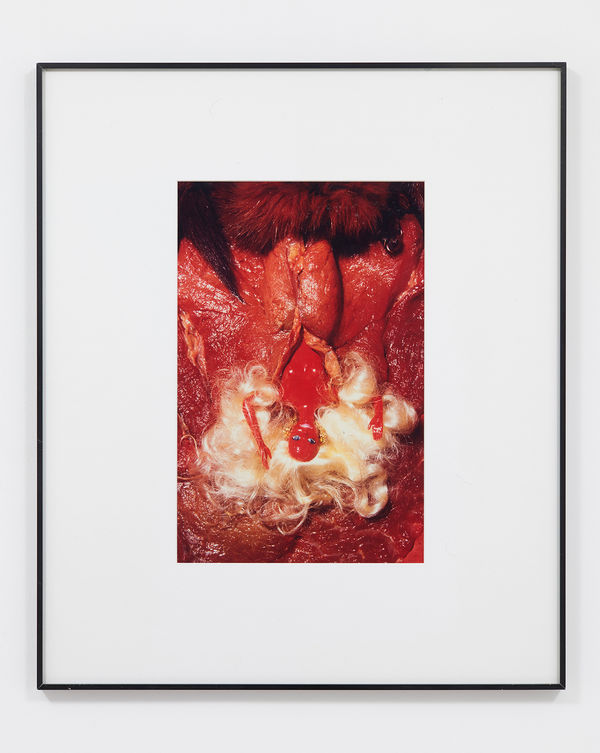 Helen CHADWICK, Birth of Barbie, 1993