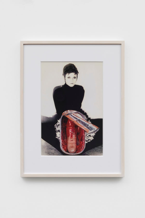 Penny SLINGER, The Surprised Tin Opener, 1969/2014