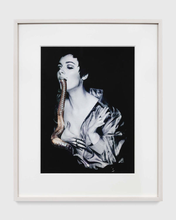 Penny SLINGER, The Larval Worm, 1969/2014