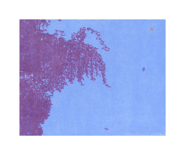 Timothy Bair, The Sky Bent Like Silk, 2025