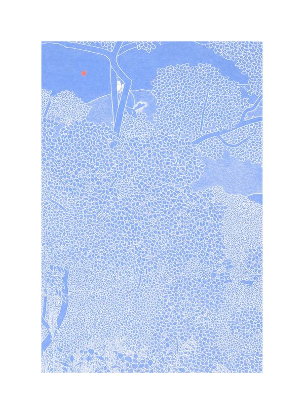 Timothy Bair, Whisper, 2024-25