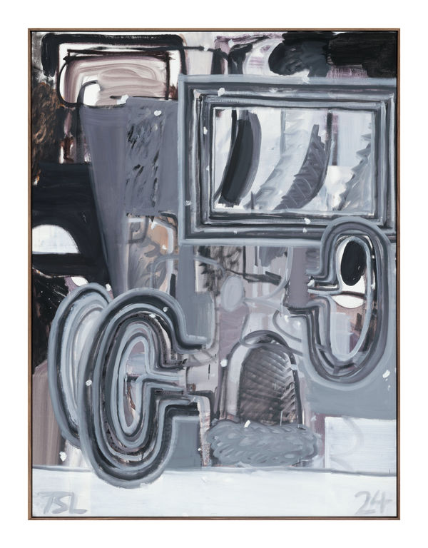 Tessar Lo, vibrational snow country, 2024