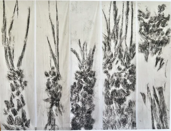 Kim Robertson, Tracing the Elementals, 2023-2025