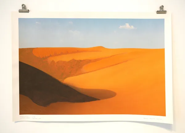 Andreas Valentin, Tradewinds: Desert‹-›Forest, 2023/2025