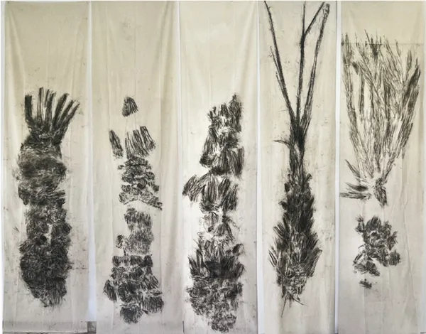 Kim Robertson, Tracing the Elementals, 2023-2025