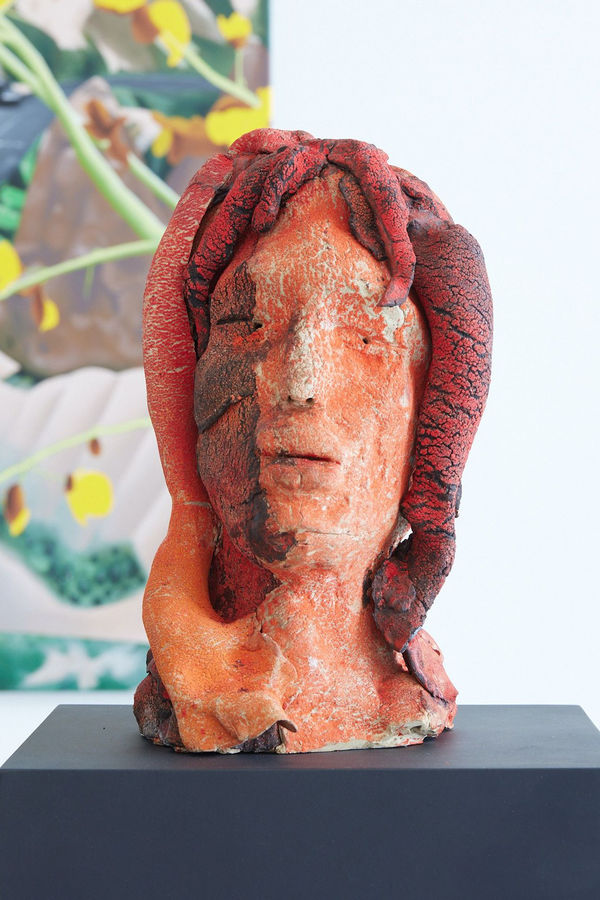 Hasseena Suresh, Faces I have seen, the faces I have been - I, 2023