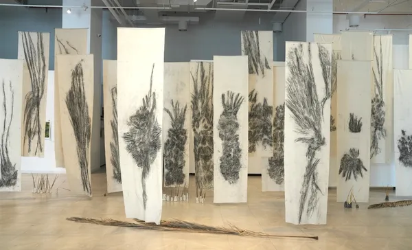 Kim Robertson, Tracing the Elementals, 2023-2025