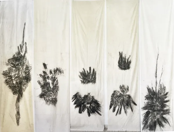 Kim Robertson, Tracing the Elementals, 2023-2025