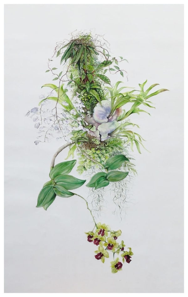 Priti Vadakath, Conservatory 4, 2020