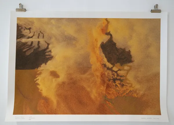 Andreas Valentin, Tradewinds: Desert‹-›Forest, 2023/2025