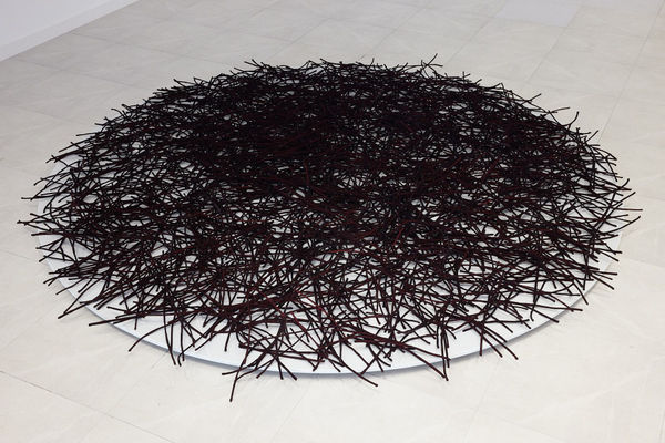 Rakhi Peswani, Becomings, 2022