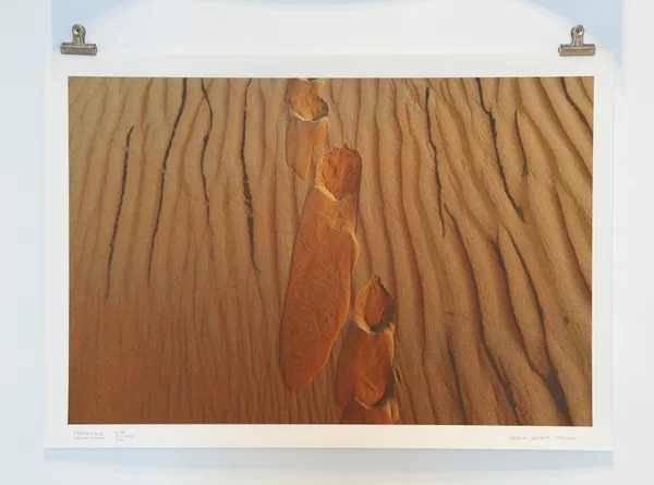 Andreas Valentin, Tradewinds: Desert‹-›Forest, 2023/2025