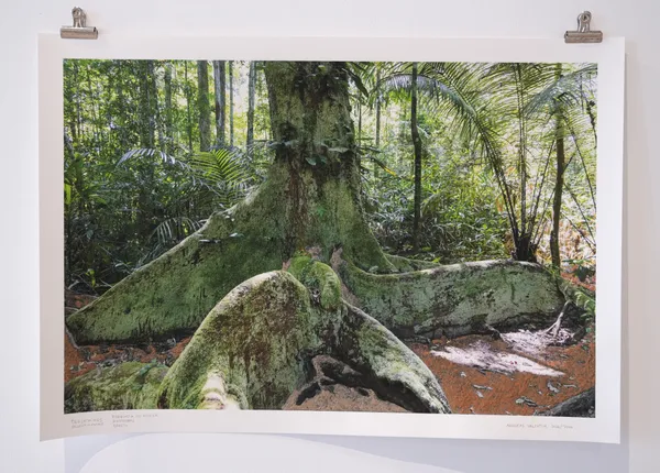 Andreas Valentin, Tradewinds: Desert‹-›Forest, 2023/2025