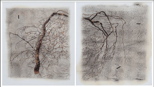 GR Iranna, Ethereal Tree, 2023