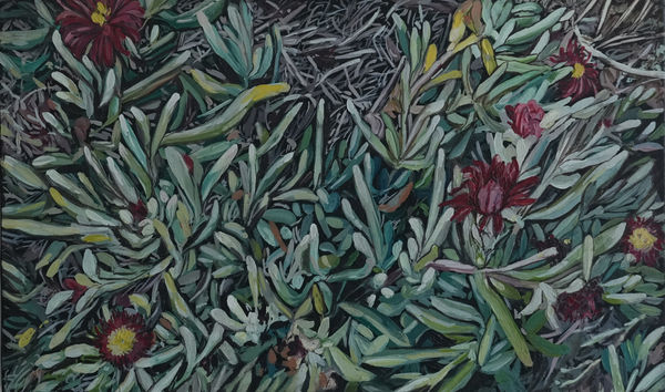 Zahra Shafie, Untitled From “Infertile Fields” Series,, 2019