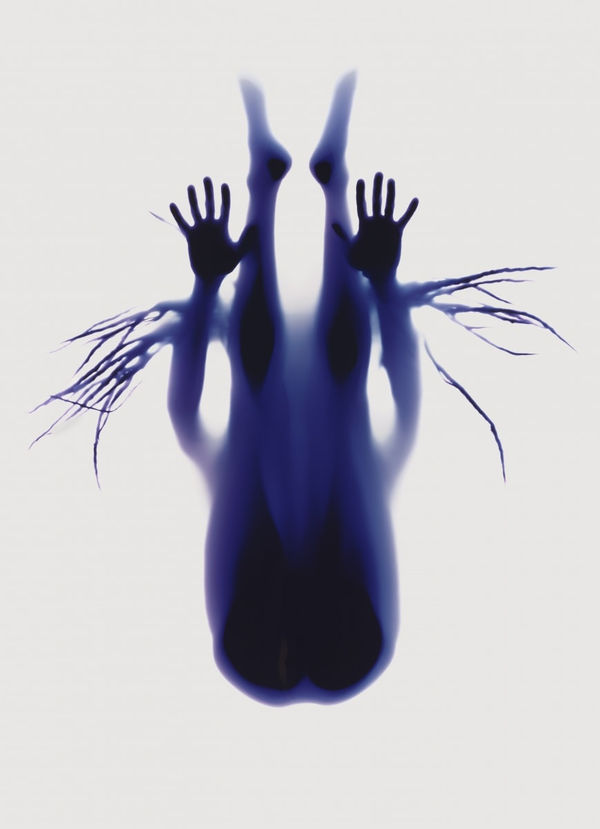 Rob and Nick Carter, Yoga Photogram, pashchimottanasana, Seated Forward Bend Pose, 2017