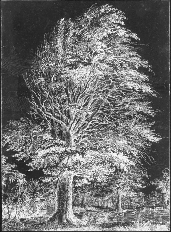 Rob and Nick Carter, Positive, Negative, Painting Photograph, 2016