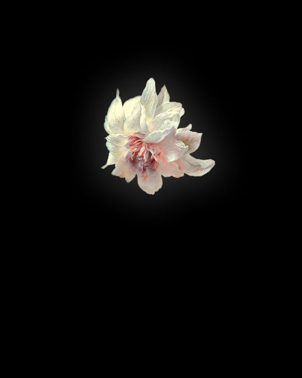 Rob and Nick Carter, Double Delphinium II after Jan van Huysum, 2013