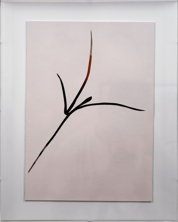 Natasha Law, Soft Machine, 2024