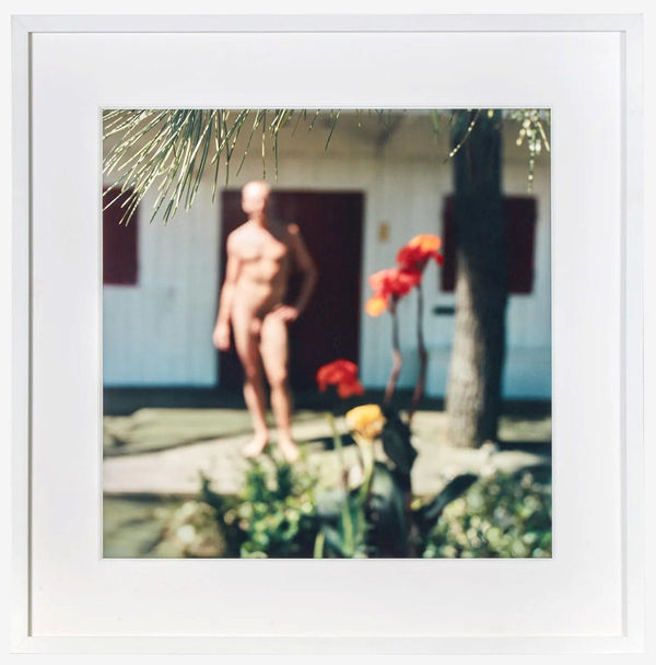 Mona Kuhn, Amsterdam VI, 2004