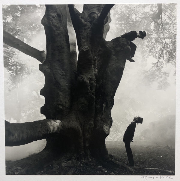 Rodney Smith, Twins in tree, Snedens Landing, NYBLO-0999-020-08, 1999