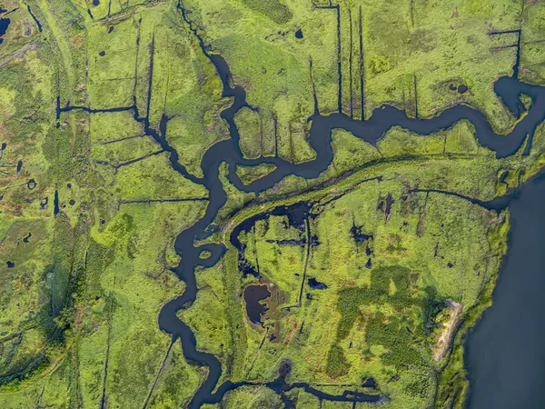 Jeffrey Milstein, Boston Great Marsh, 2024