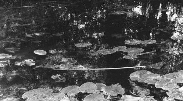 Tomio Seike, WS Waterscape #13, 1999/2009
