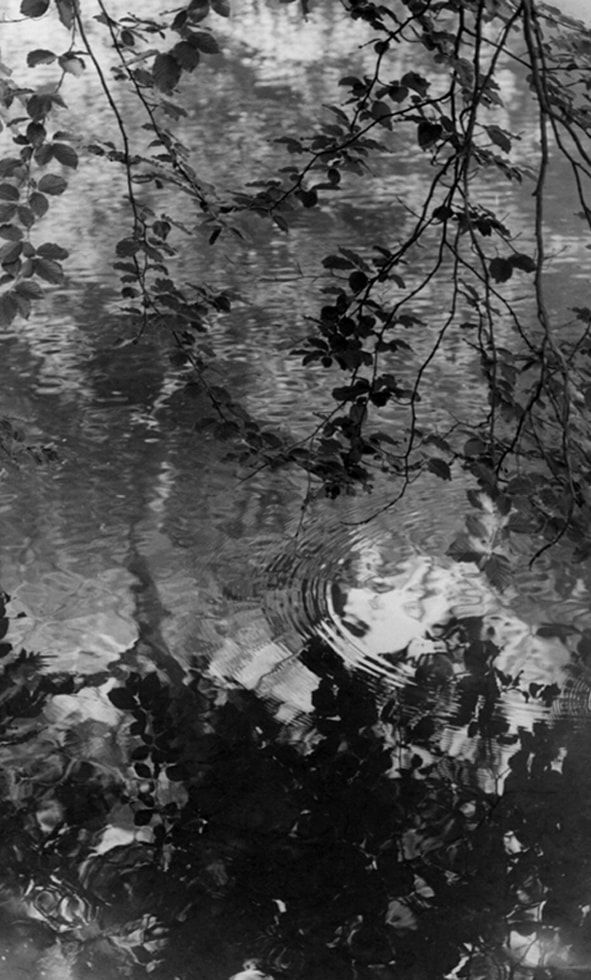 Tomio Seike, WS #16, 1997