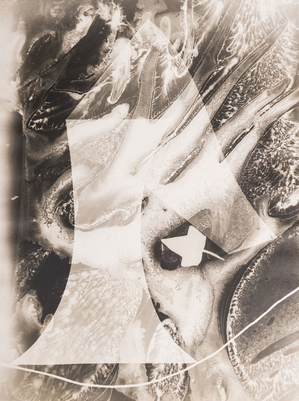 György Kepes, Untitled photogram, 1938