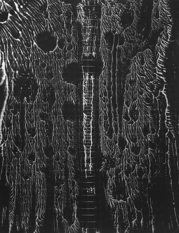 György Kepes, Untitled photogram, 1979