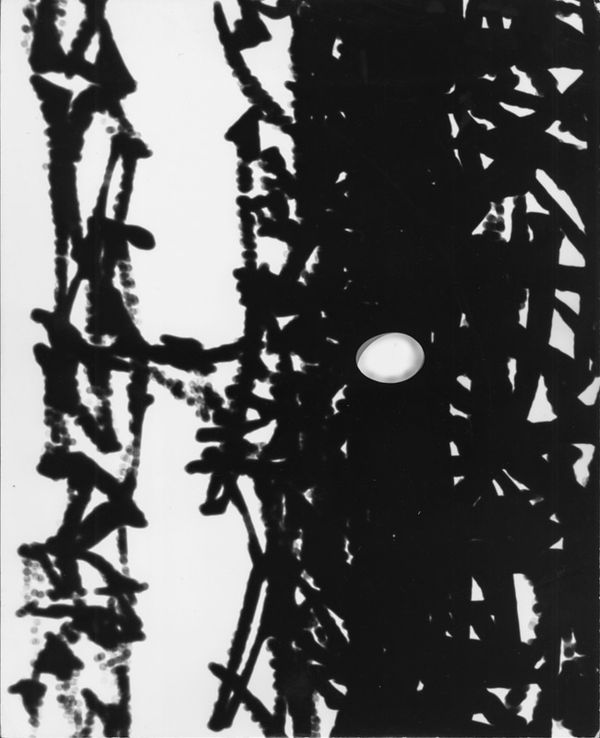 György Kepes, Untitled photogram, c. 1940