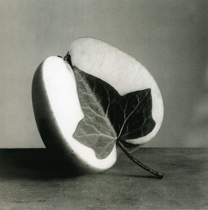 Chema Madoz, Madrid, 1995