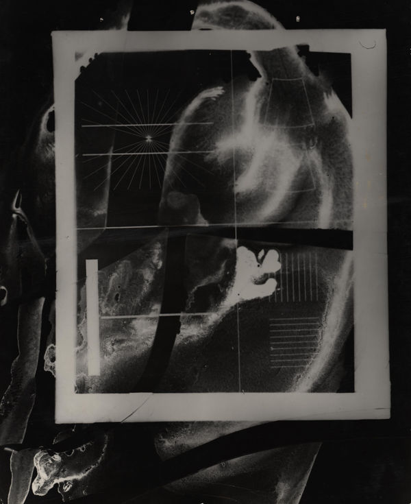 György Kepes, Untitled photogram, 1936