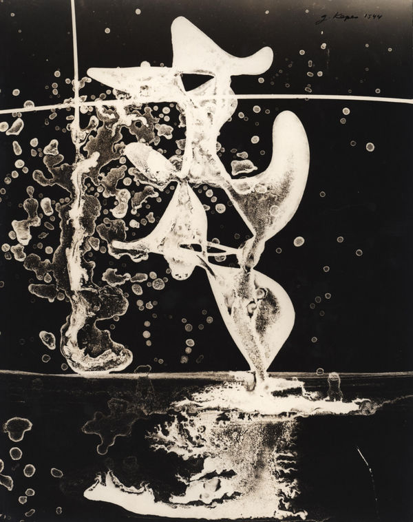 György Kepes, Untitled photogram, 1944