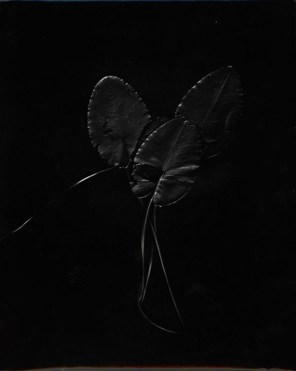 György Kepes, Wellfleet Long Pond, 1972