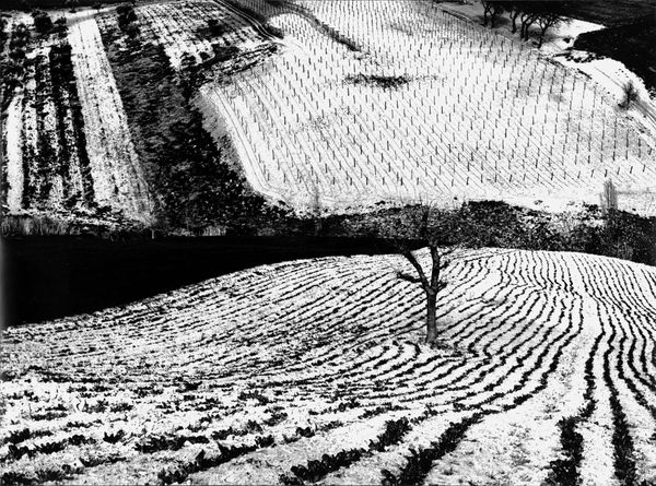 Mario Giacomelli, Paesaggio 283; Metamorphosis of the Land, (from the series On Being Aware of Nature), 1968