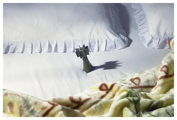 Shadi Ghadirian, Nil Nil #8, 2008