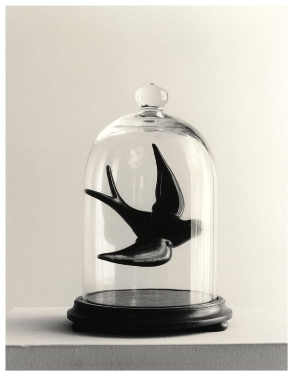 Chema Madoz, Urna Golondrina, 2004
