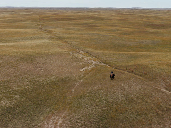 Andrew Moore, Riding Fence v2, 2014