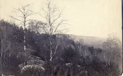 Eugene Cuvelier, Landscape with Two Birch Trees, c. 1860