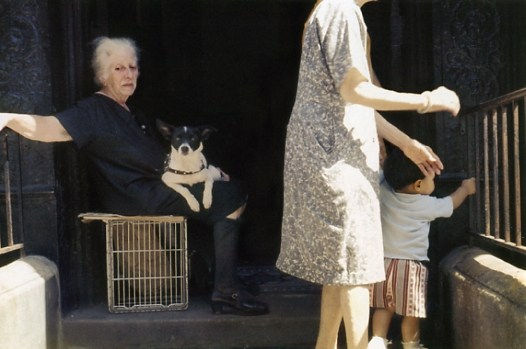 Helen Levitt, Untitled, New York (woman in doorway with black and white dog), 1972